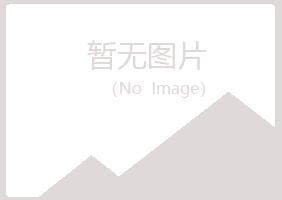 河池冰夏司机有限公司